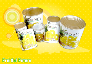 Natural-Fruit-pineapple