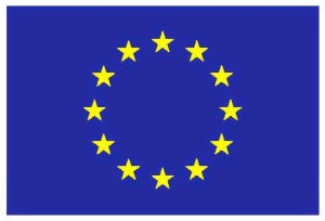 EUflag-5