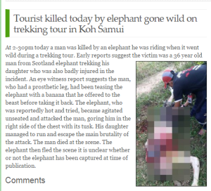 Samui-times-elephant-attack