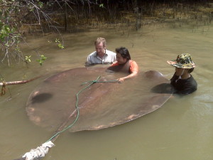 robson green stingra samut songhram